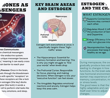 Hormones as Messengers educational booklet